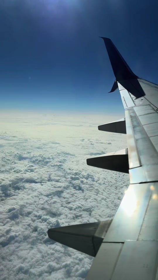 Post 1 by whereisvictorianow on TikTok (video)