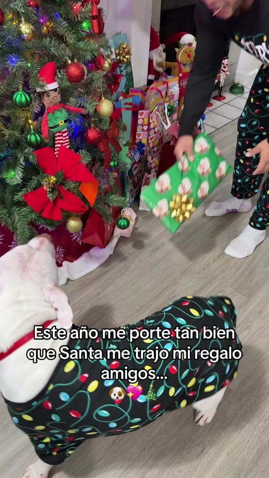 Post 9 by lucydaniela.oficial on TikTok (video)
