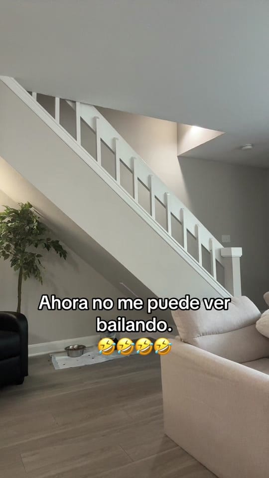 Post 7 by lucydaniela.oficial on TikTok (video)