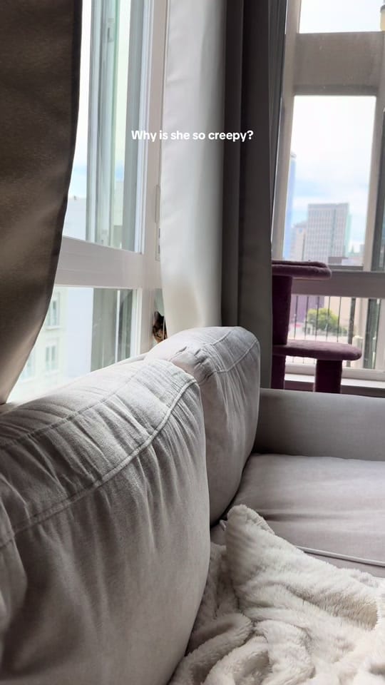 Post 3 by brianabealss on TikTok (video)