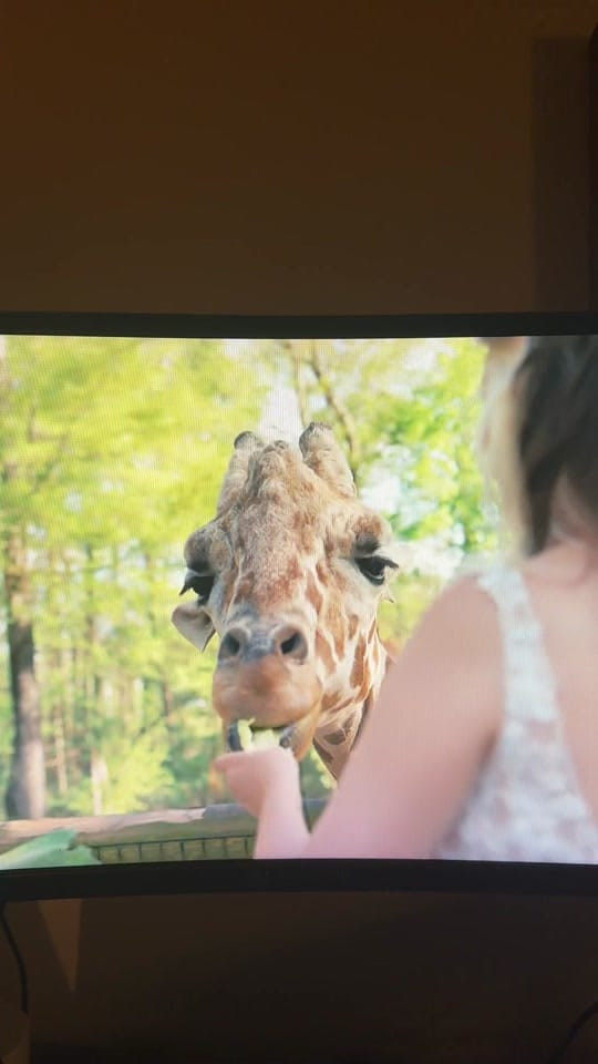 Post 5 by Jessica | Alabama Photographer on TikTok (video)