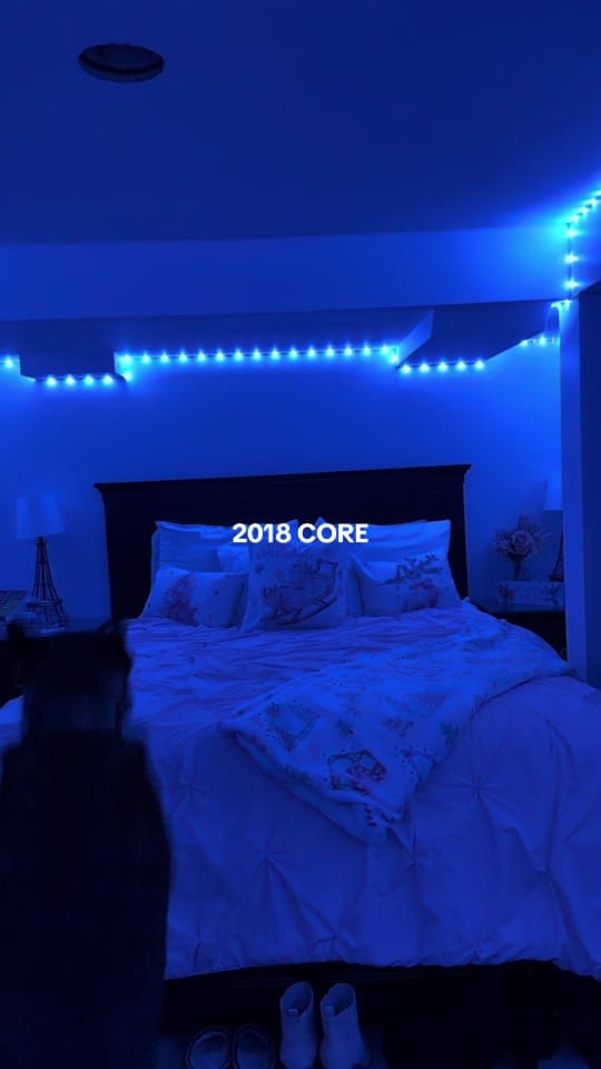 Post 5 by Kaitlyn Lacasse on TikTok (video)