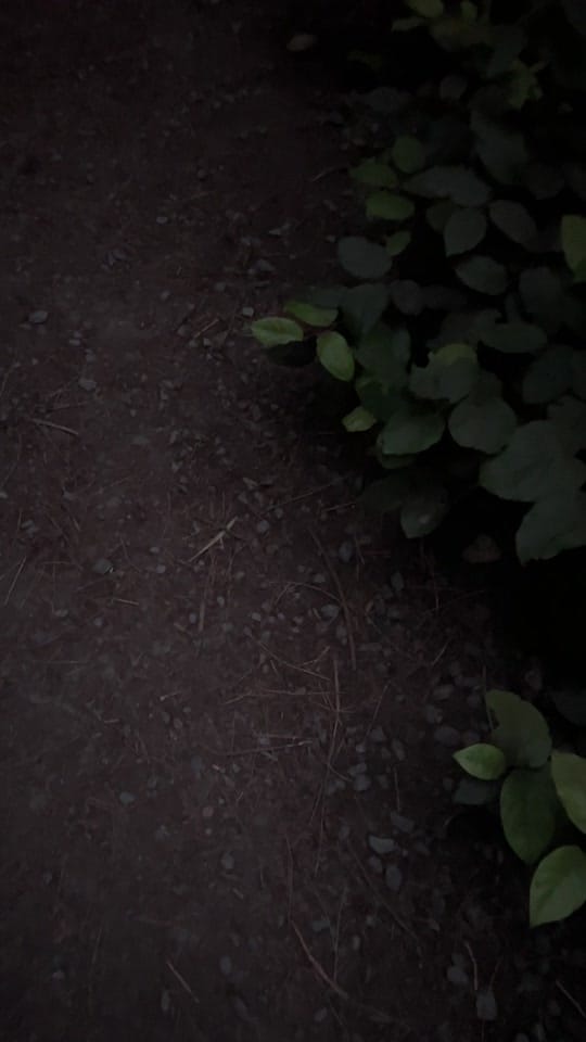 Post 1 by ︎ on TikTok (video)