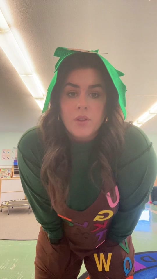 Post 8 by lindseyelowe on TikTok (video)