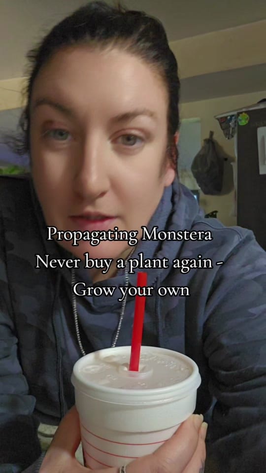 Post 5 by Lifewithjolyn on TikTok (video)