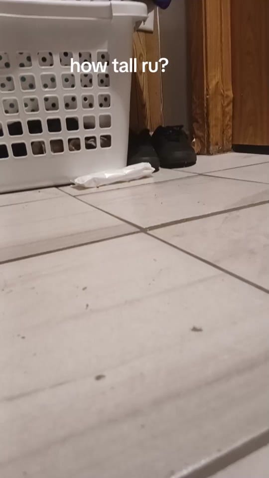 Post 2 by jeremy francen on TikTok (video)