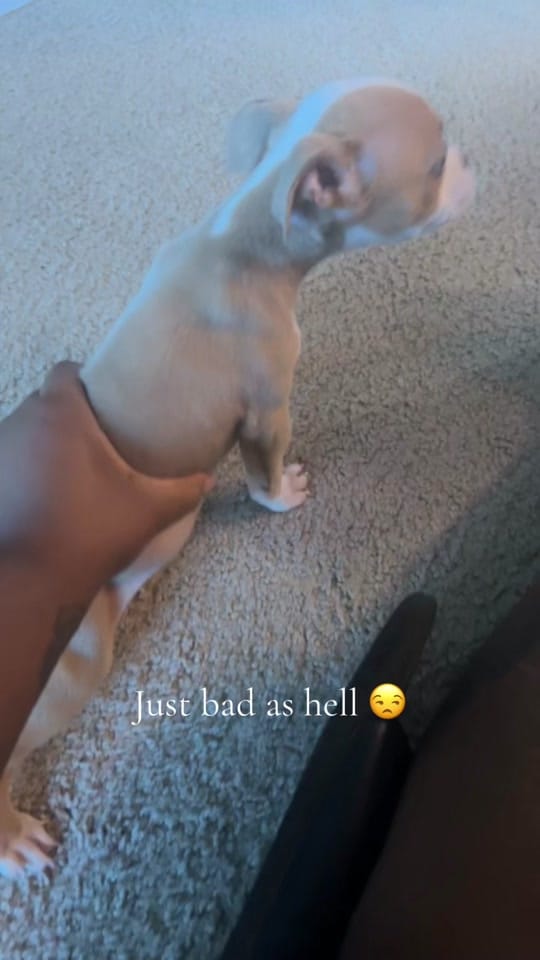 Post 8 by UniqueEscapes By Tiffany✈️🇳🇬 on TikTok (video)