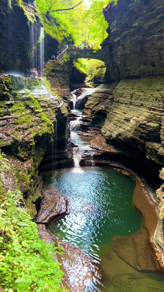 Post 9 by EarthElysium on TikTok (video)