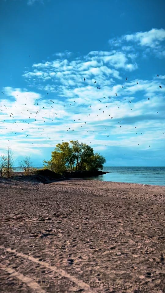 Post 7 by EarthElysium on TikTok (video)