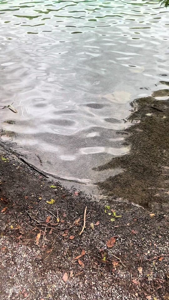 Post 8 by EarthElysium on TikTok (video)
