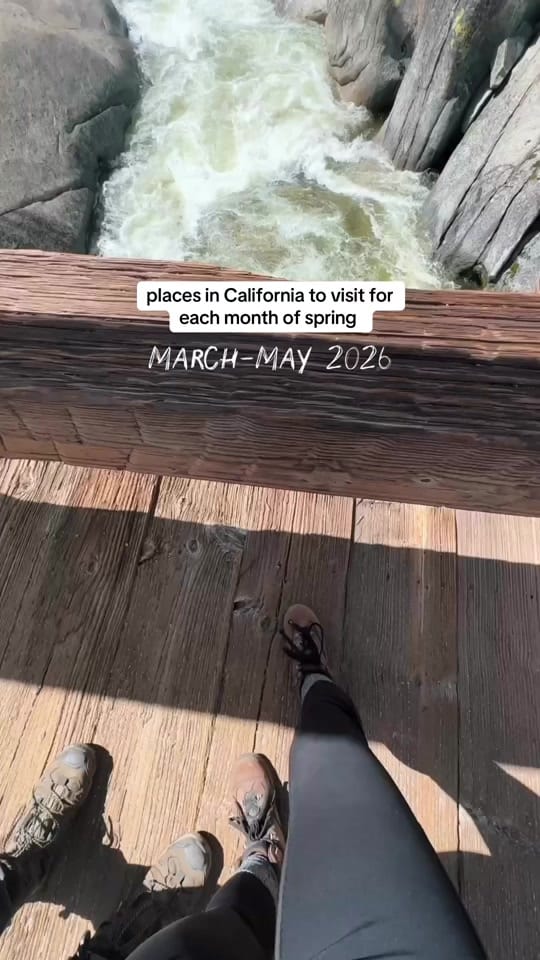Post 1 by tannya ↟ on TikTok (video)