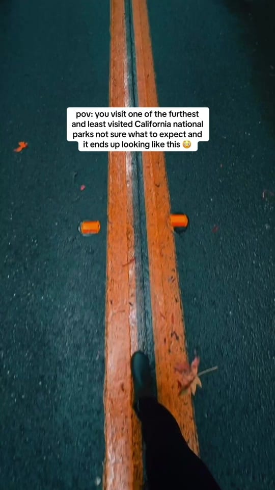 Post 2 by tannya ↟ on TikTok (video)