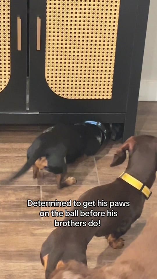 Post 7 by Jennifer Lebron on TikTok (video)