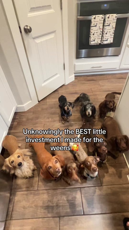 Post 5 by Jennifer Lebron on TikTok (video)