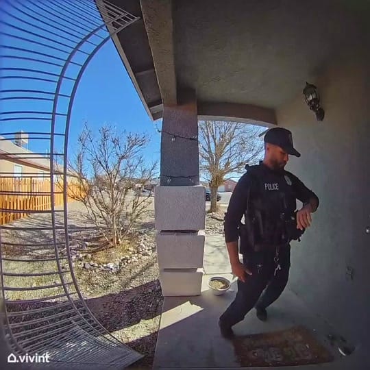 Post 7 by 𝓁𝓎𝒸𝒾𝒶 🤍 on TikTok (video)