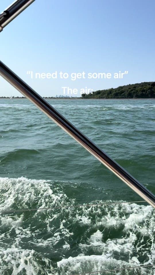 Post 6 by Steph Mireles (Chung) on TikTok (video)
