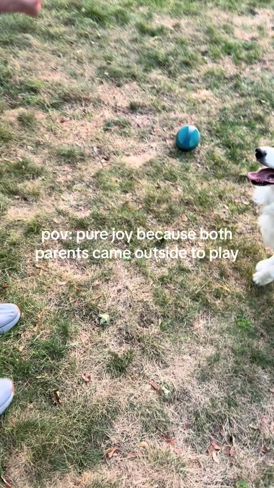 Post 3 by Steph Mireles (Chung) on TikTok (video)