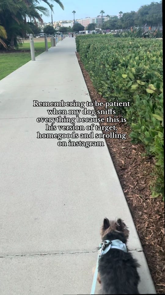 Post 2 by Stephanie Skertich on TikTok (video)