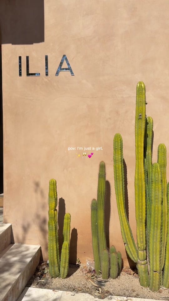 Post 8 by Stephtones on TikTok (video)