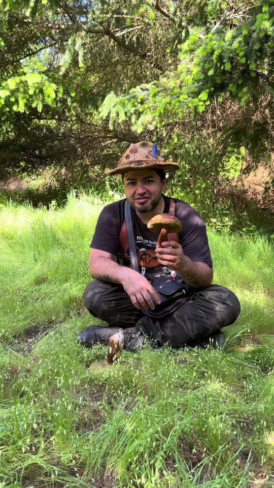Post 3 by DesertAlchemist on TikTok (video)