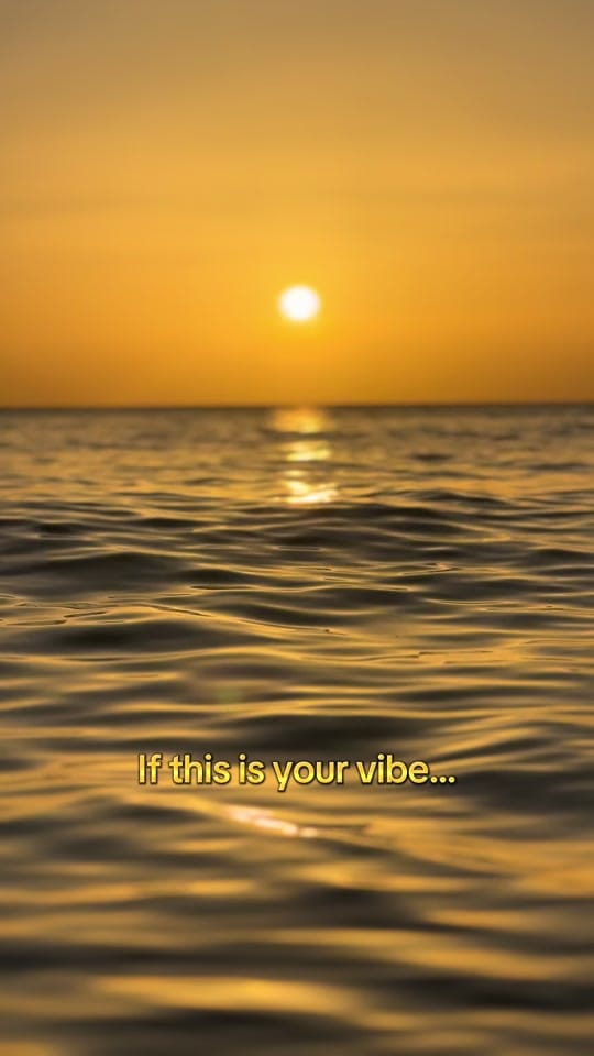 Post 7 by Michelle on TikTok (video)