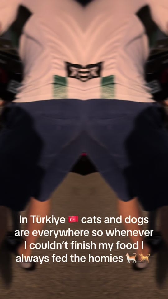 Post 8 by ibs on TikTok (video)