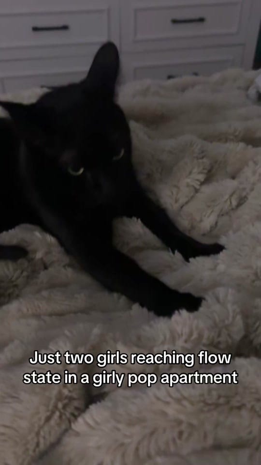 Post 4 by Nat on TikTok (video)