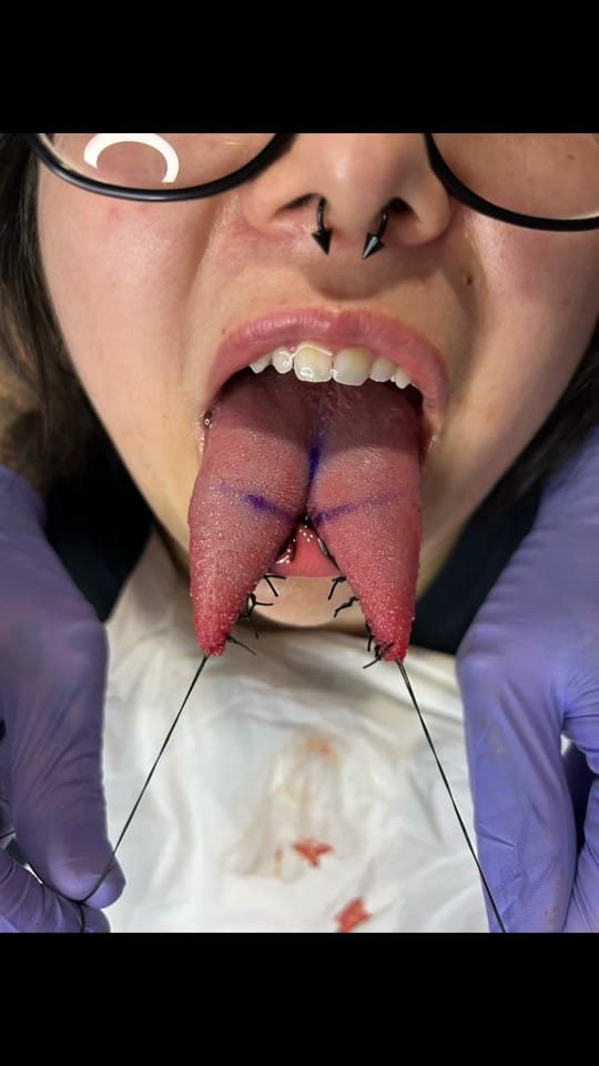 Post 8 by Dana_Marie_Dracula on TikTok (video)