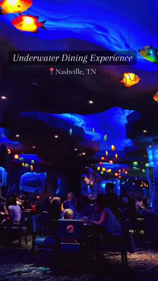 Post 5 by GinaintheATL on TikTok (video)