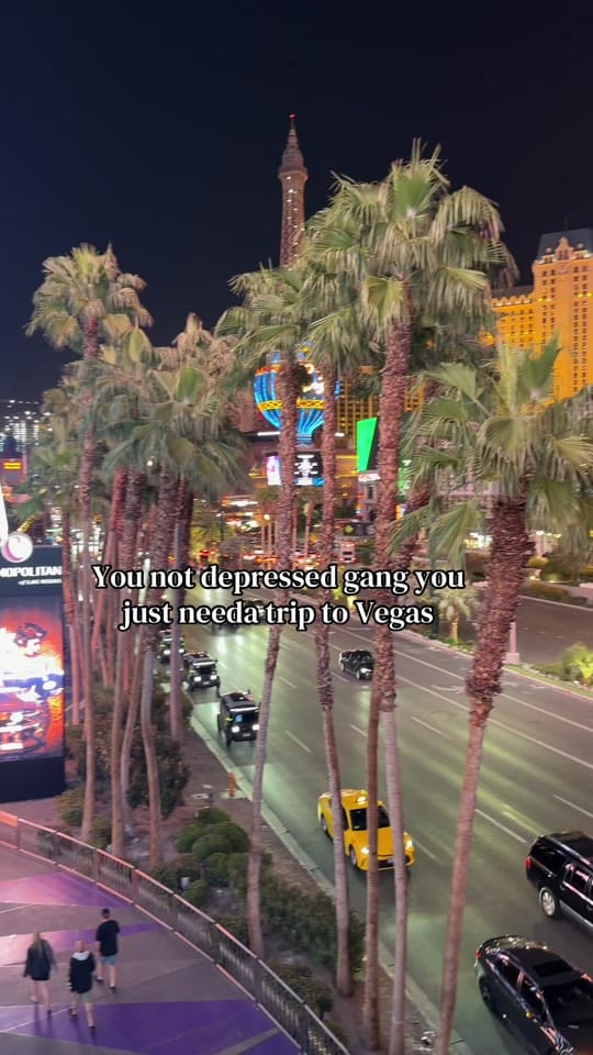 Post 4 by Zoo | Lifestyle & Adventure on TikTok (video)