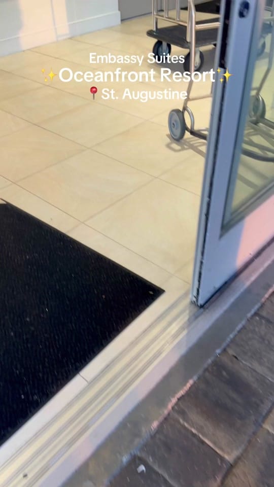 Post 9 by Nicole & the Dogs on TikTok (video)