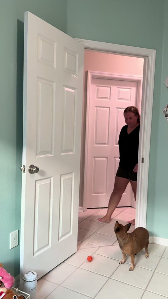 Post 6 by Nicole & the Dogs on TikTok (video)