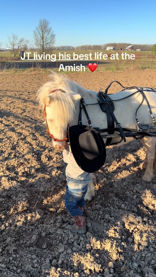 Post 3 by Hannah Ikner on TikTok (video)