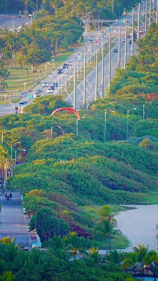 Post 6 by Miami Famous on TikTok (video)
