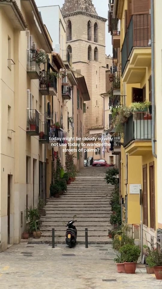 Post 5 by Elyse Elmer on TikTok (video)