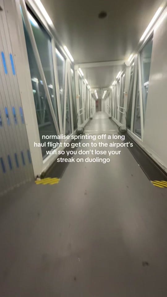 Post 6 by Elyse Elmer on TikTok (video)