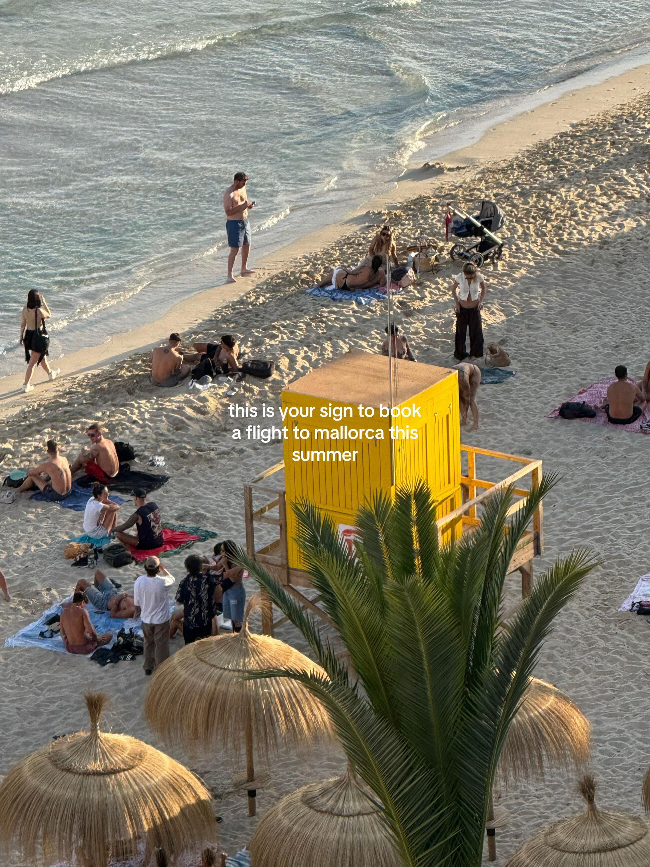 Post 1 by Elyse Elmer on TikTok (video)