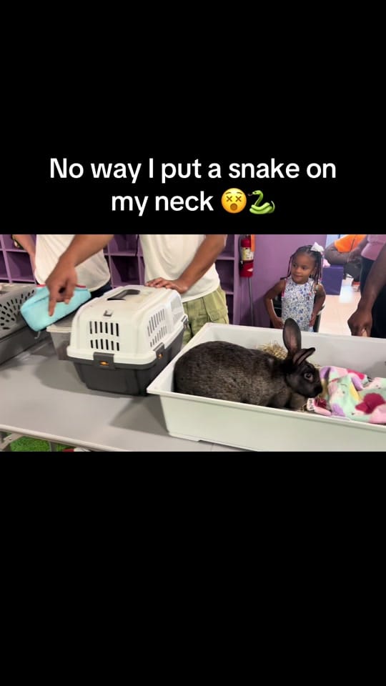 Post 4 by YouTube: @Jrgocrazyy2337 on TikTok (video)