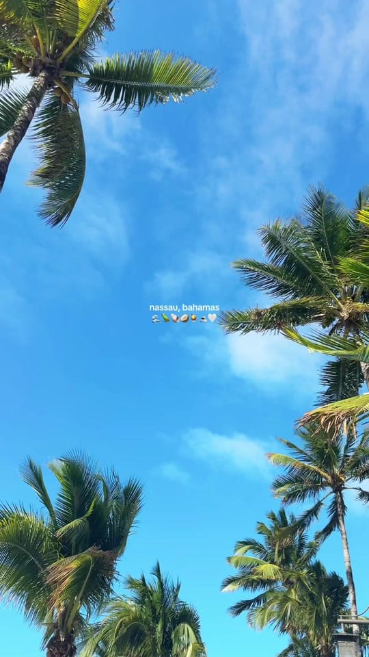 Post 2 by ty nicole on TikTok (video)
