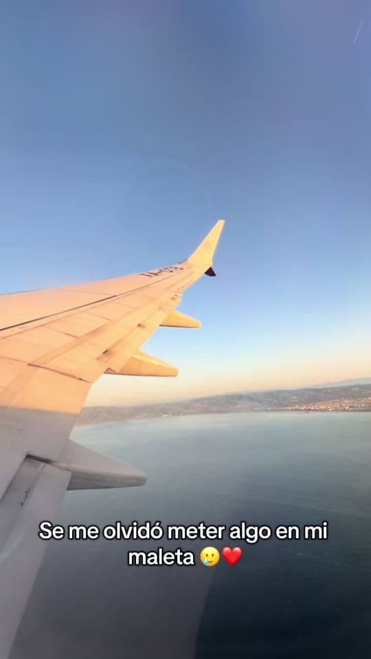 Post 2 by Rue on TikTok (video)