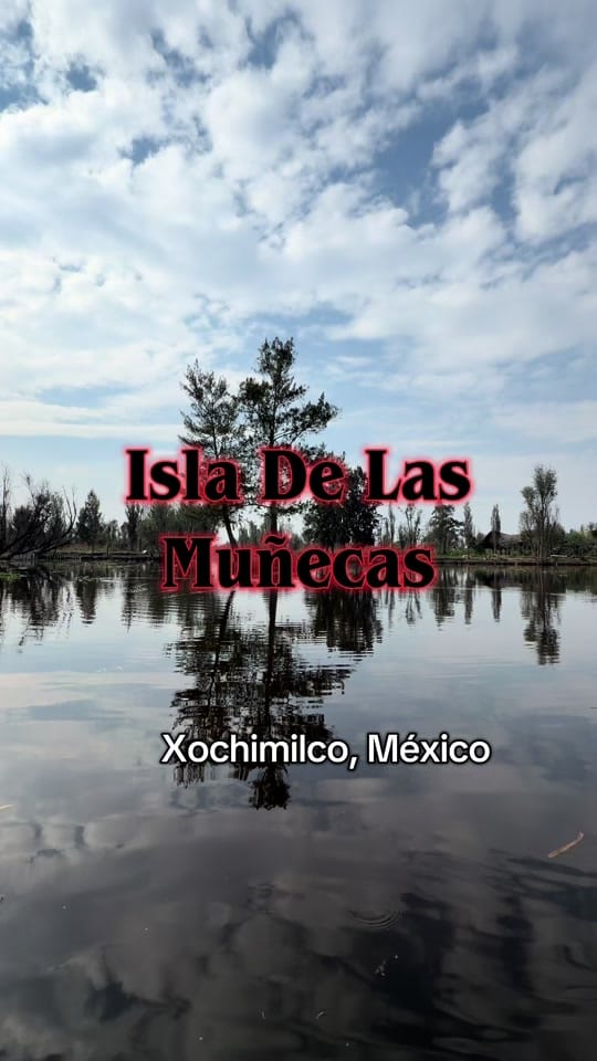 Post 5 by Rue on TikTok (video)