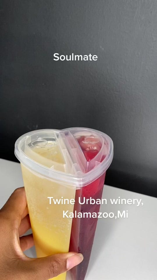 Post 9 by Nicole Roche’ on TikTok (video)
