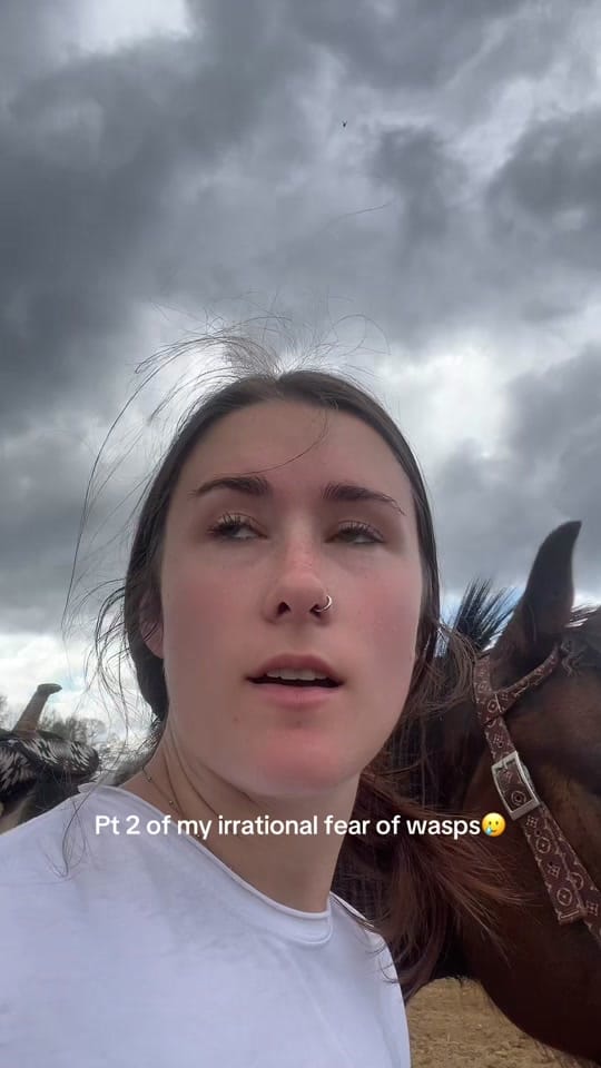 Post 7 by larkin.hyde on TikTok (video)