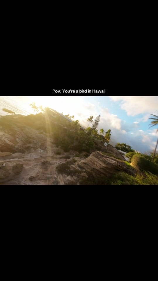 Post 4 by James fujita on TikTok (video)