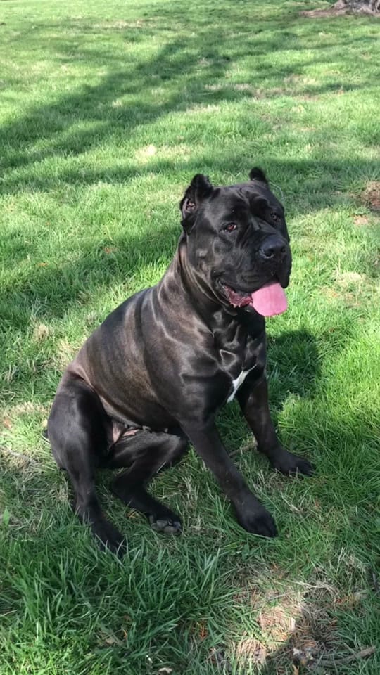 Post 3 by liv2travel on TikTok (video)