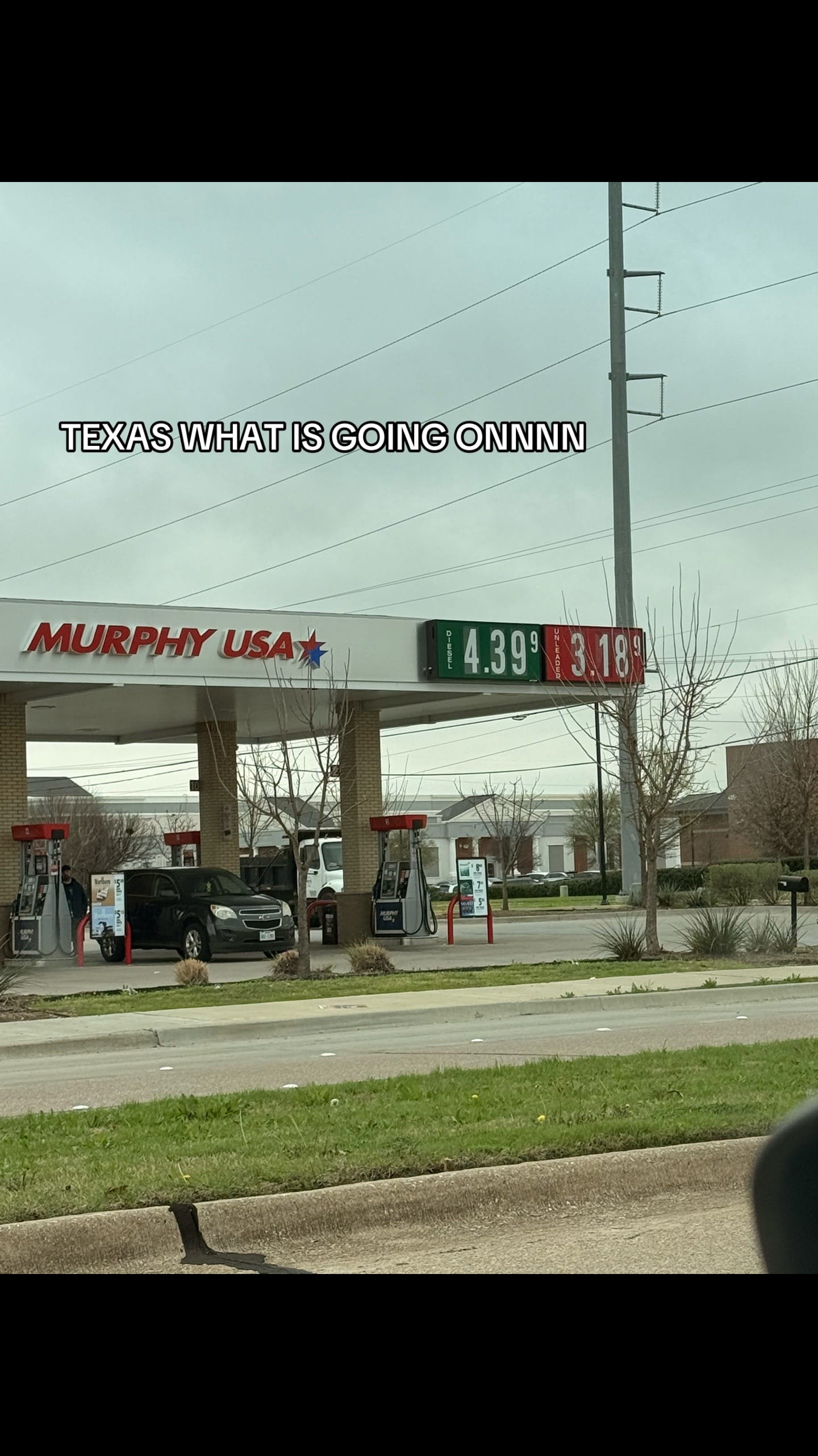 Post 7 by rach.cole4 on TikTok (video)
