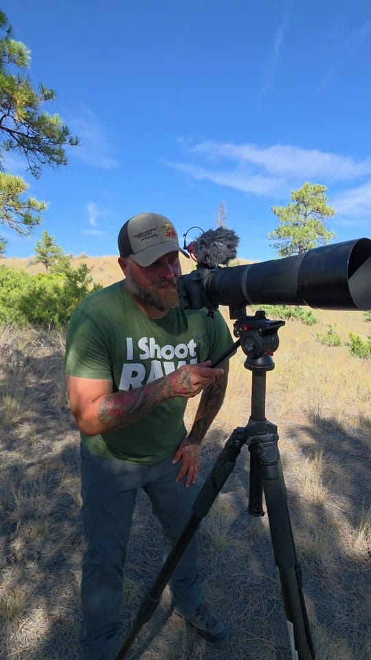Post 10 by Chasing the Wild 📷🏔 on TikTok (video)