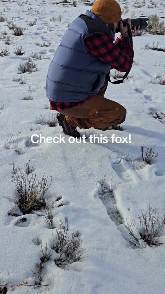 Post 8 by Chasing the Wild 📷🏔 on TikTok (video)