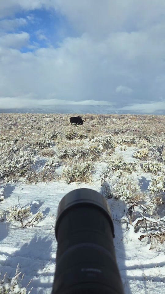 Post 6 by Chasing the Wild 📷🏔 on TikTok (video)