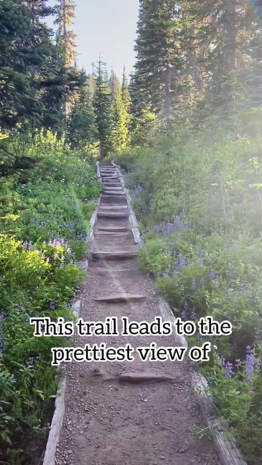 Post 10 by Krista on TikTok (video)